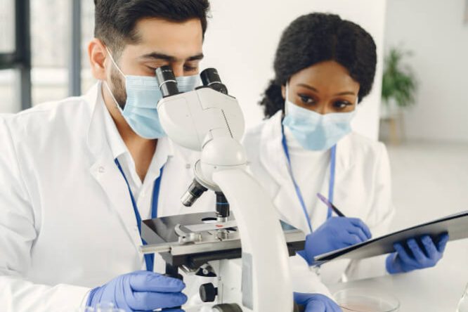 Hematology services in Tampa Bay, Florida